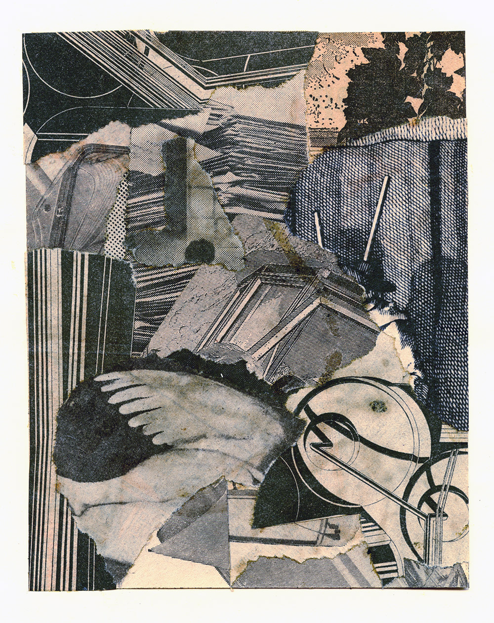 Collage 5
